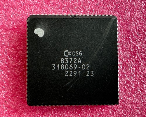 Fat agnus csg - fat,